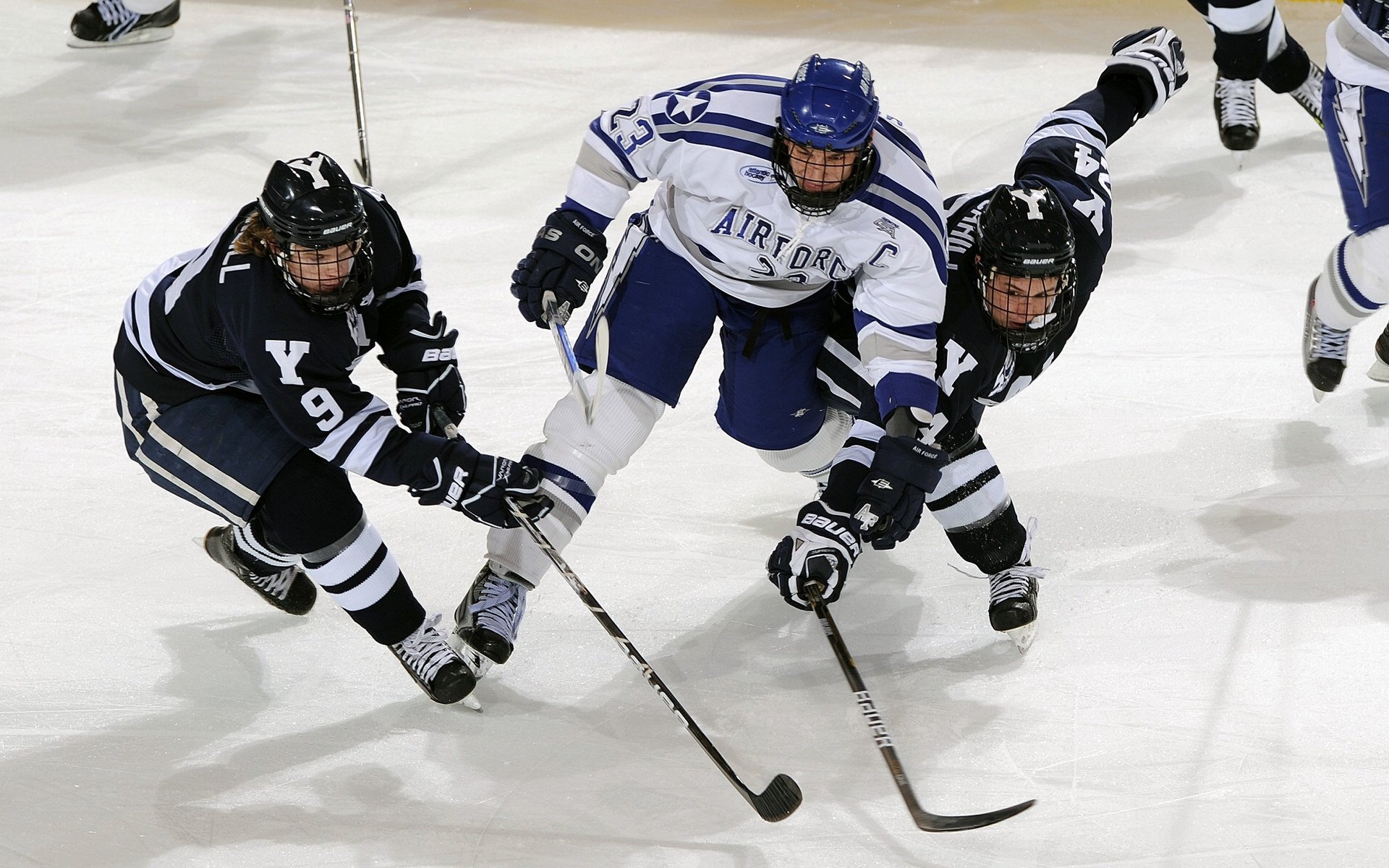 星空体育官网首页-现场嘉宾：业内专家、一线运动员畅谈未来